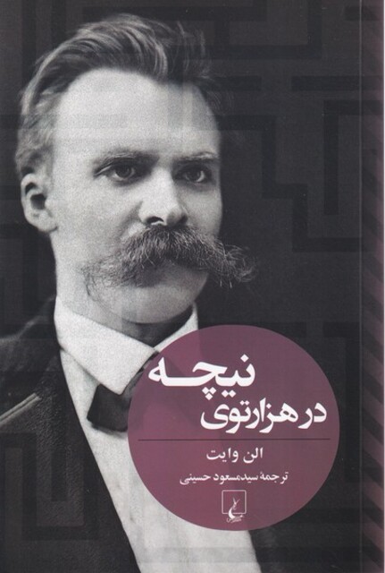کتاب در هزار توی نیچه