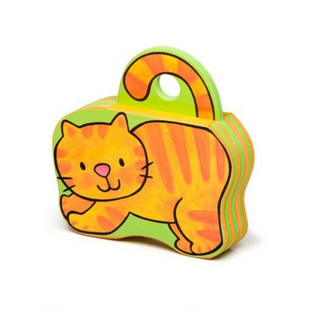 کتاب کتاب‌فومی پیشی دلش دوست می‌خواد