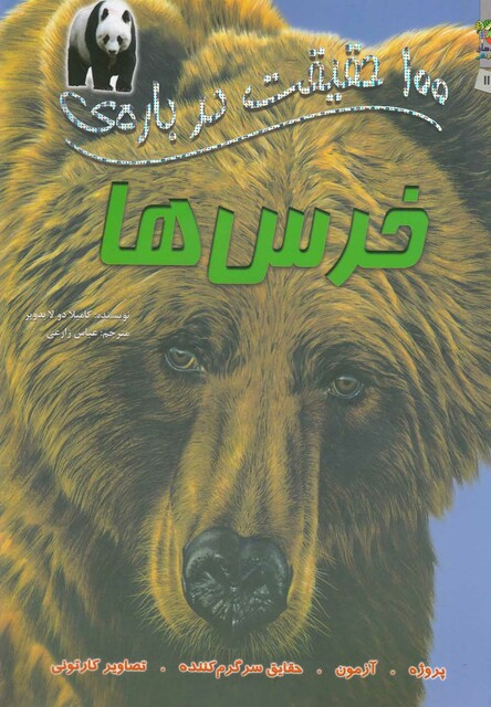کتاب 100 حقیقت درباره ی 11خرس ها