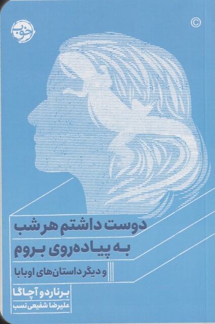 کتاب دوست داشتم هر شب به پیاده روی بروم