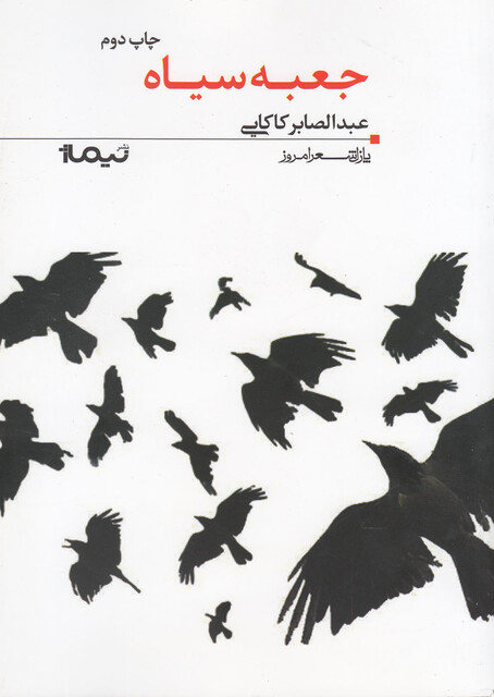 کتاب پازل شعر امروز 24 جعبه سیاه