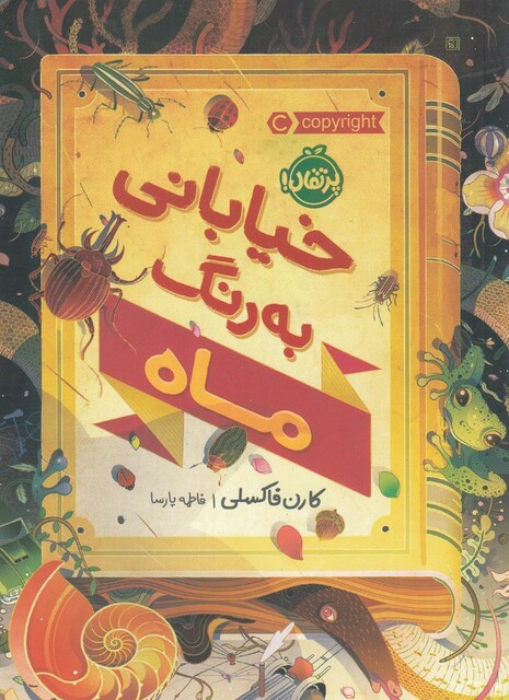 کتاب خیابانی به رنگ ماه