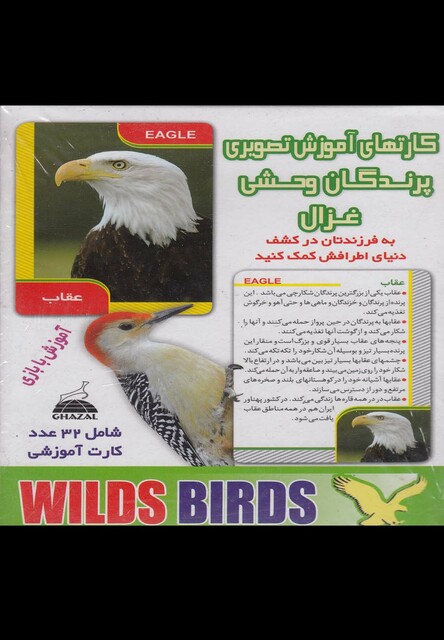 کتاب کارتهای آموزشی تصویری پرندگان وحشی