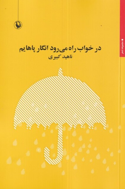 کتاب در خواب راه می‌رود انگار پاهایم