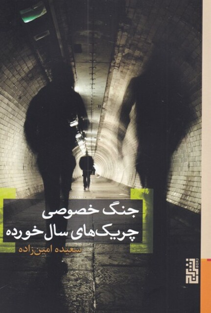 کتاب جنگ خصوصی چریک‌های سال خورده