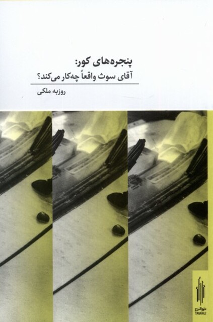 کتاب پنجره‌های کور آقای‌ سوث‌ واقعا چه ‌کار ‌می‌کند