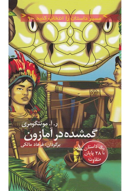 کتاب مسیر داستان را انتخاب کنید 9 گمشده در آمازون