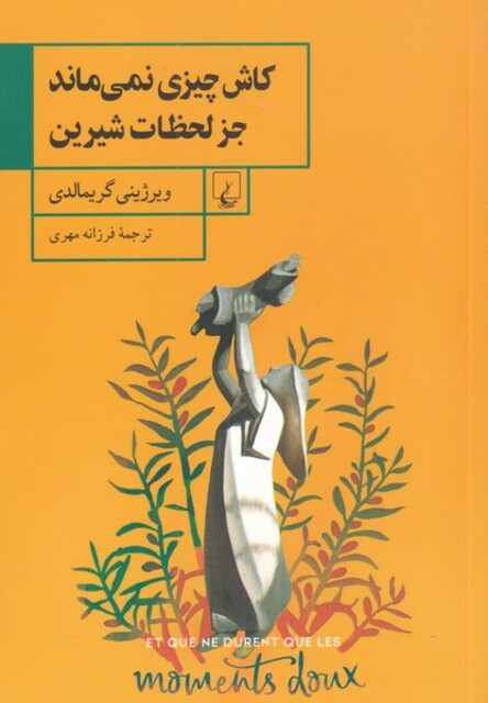 کتاب کاش چیزی نمی‌ماند جز لحظات شیرین