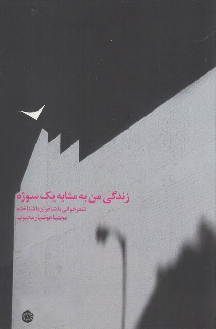 کتاب زندگی من به مثابه یک سوژه