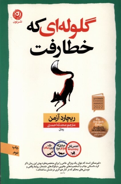 کتاب گلوله‌ای که خطا رفت