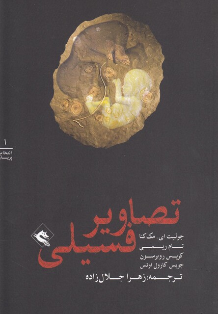 کتاب انتخاب پریان 1 تصاویر فسیلی