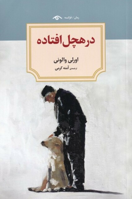 کتاب در هچل افتاده