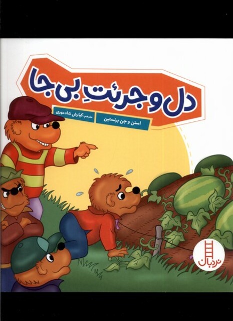 کتاب دل و جرئت بی ‌جا