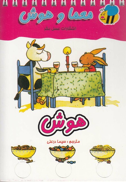 کتاب معما و هوش هوش