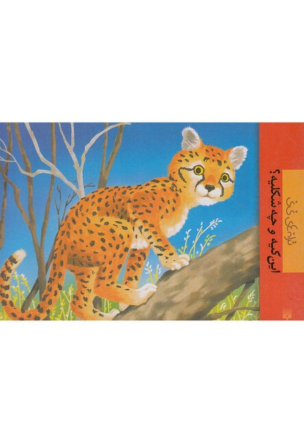 کتاب ترانه های نی نی این کیه و چه شکلیه