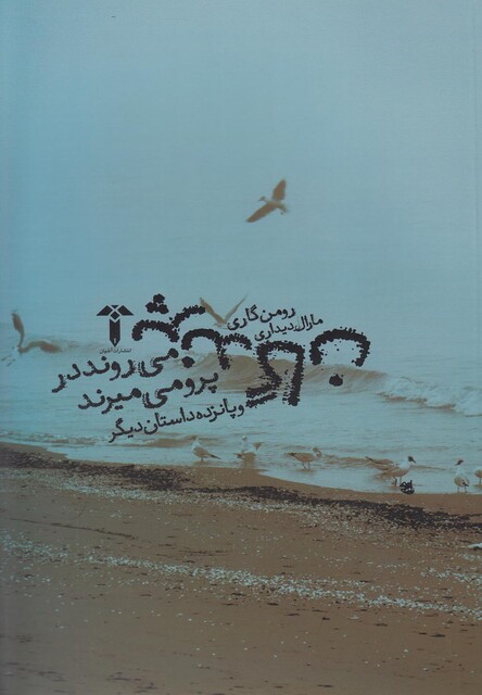 کتاب پرندگان می روند در پرو می میرند