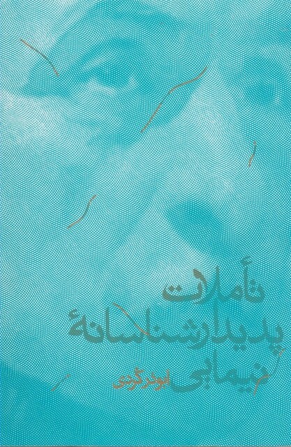 کتاب تاملات پدیدار شناسانه نیمایی