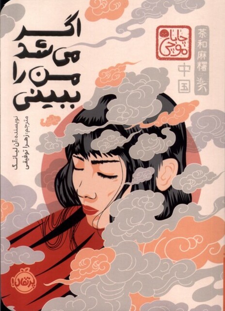 کتاب اگر می‌شد من را ببینی