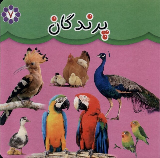 کتاب پرندگان