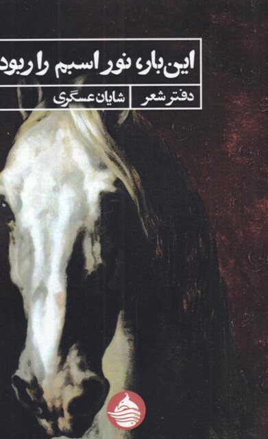 کتاب این بار نور اسبم را ربود