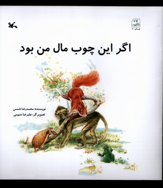 کتاب اگر این چوب مال من بود