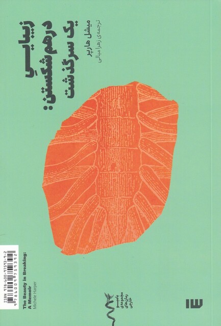 کتاب زیبایی درهم شکستن یک سرگذشت