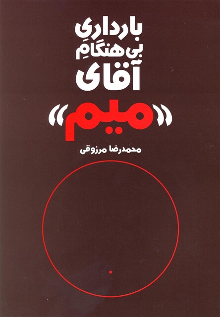 کتاب بارداری بی هنگام آقای میم