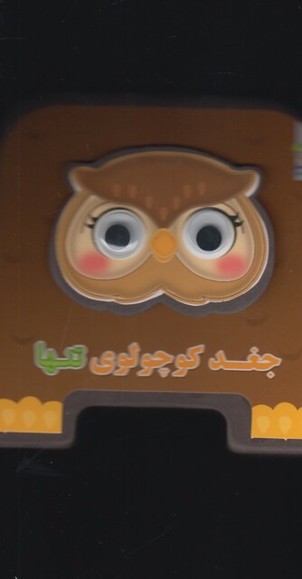 کتاب کتاب فومی چشمی(جغدکوچولوی تنها)