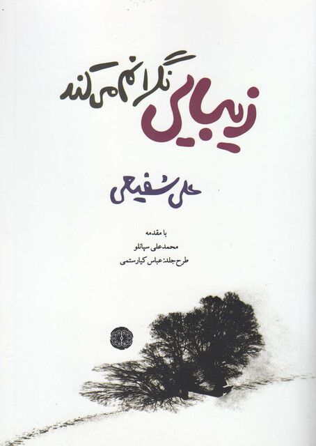 کتاب زیبایی نگرانم می کند