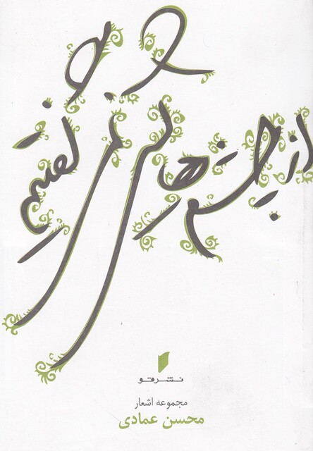 کتاب از چشم ‎هایش نمی ‎گفتیم