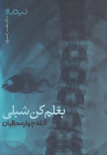 کتاب پازل شعر امروز بغلم  کن شبلی