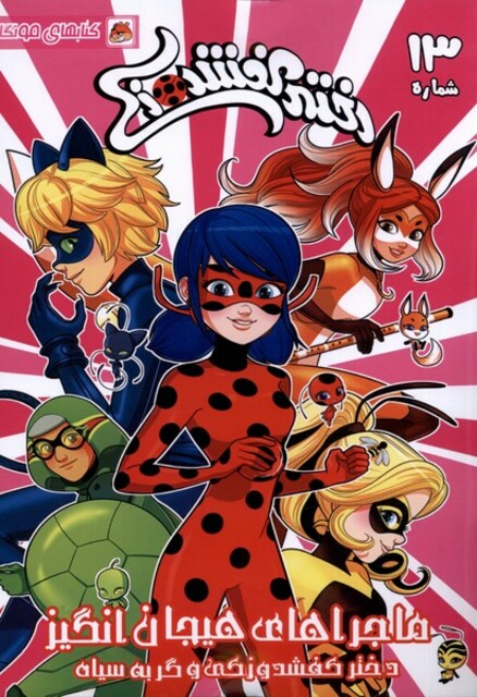 کتاب دختر کفشدوزکی 13