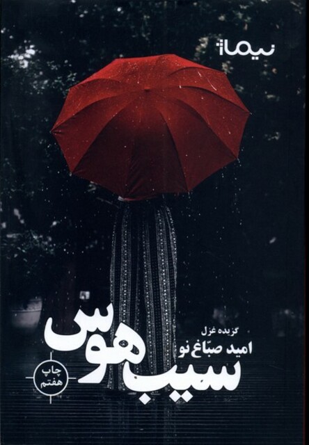 کتاب پازل شعر امروز سیب هوس