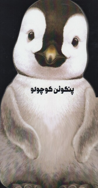 کتاب داستان زندگی پنگوئن کوچولو