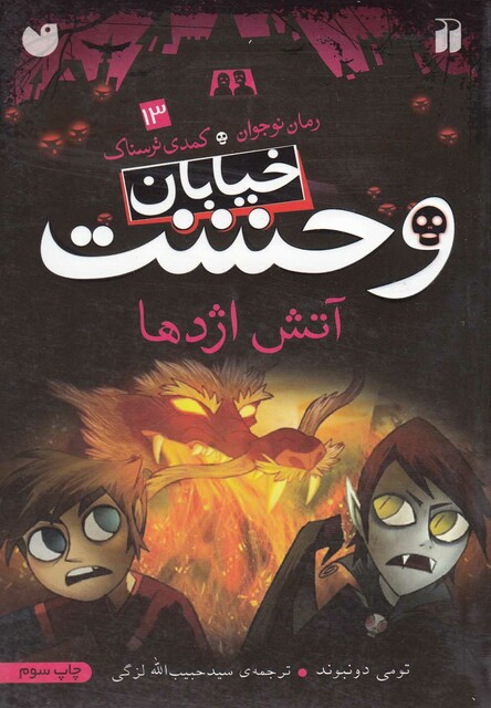 کتاب خیابان وحشت 13 آتش اژدها