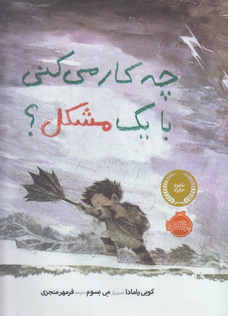 کتاب چه کار می‌کنی با یک مشکل