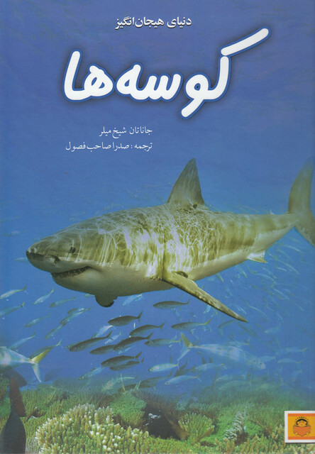 کتاب دنیای هیجان انگیز 5 کوسه ها