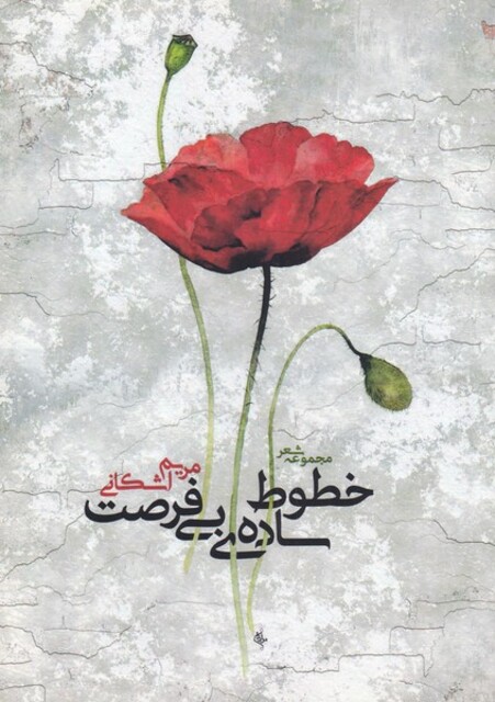 کتاب خطوط ساده‌ی بی فرصت مجموعه ‌شعر