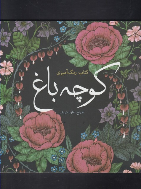 کتاب رنگ آمیزی بزرگسالان کوچه‌ باغ