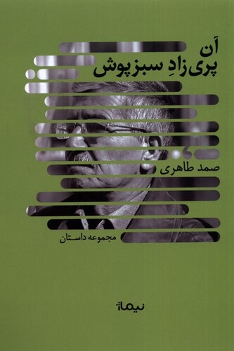 کتاب آن پریزاد سبزپوش