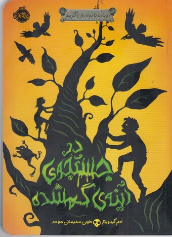 کتاب در جستجوی آینه گمشده