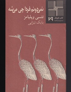 کتاب کتاب کوچک 29 نمی‎دونم ‎فردا چی ‎می‎شه