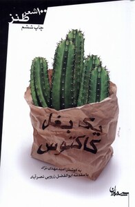 کتاب یک بغل کاکتوس مجموعه شعر