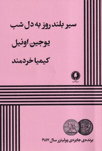 کتاب سیر بلند روز به دل شب