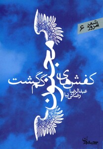 کتاب کفش های مجنون گم گشت