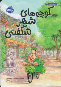 کتاب کوچه های شهر شگفتی