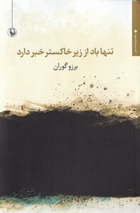 کتاب تنها باد از زیر خاکستر خبر داد