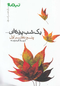 کتاب پازل شعر امروز یک شب پرنده ای