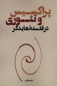 کتاب پراکسیس و تئوری در فلسفه هایدگر