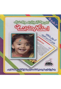 کتاب کارتهای آموزشی تصویری اعضای بدن انسان